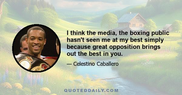 I think the media, the boxing public hasn't seen me at my best simply because great opposition brings out the best in you.