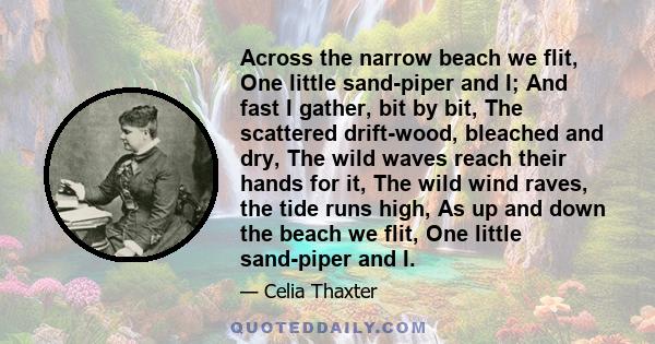 Across the narrow beach we flit, One little sand-piper and I; And fast I gather, bit by bit, The scattered drift-wood, bleached and dry, The wild waves reach their hands for it, The wild wind raves, the tide runs high,