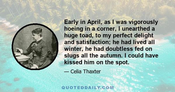 Early in April, as I was vigorously hoeing in a corner, I unearthed a huge toad, to my perfect delight and satisfaction; he had lived all winter, he had doubtless fed on slugs all the autumn. I could have kissed him on