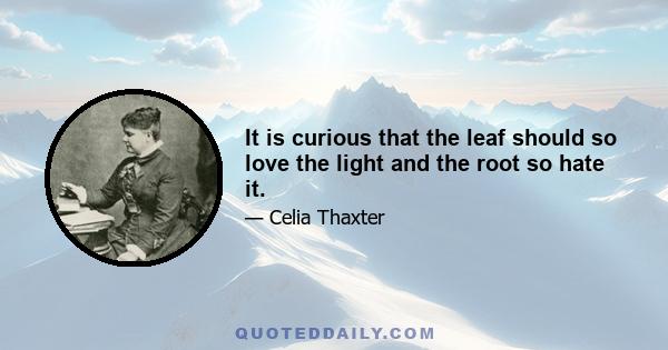 It is curious that the leaf should so love the light and the root so hate it.