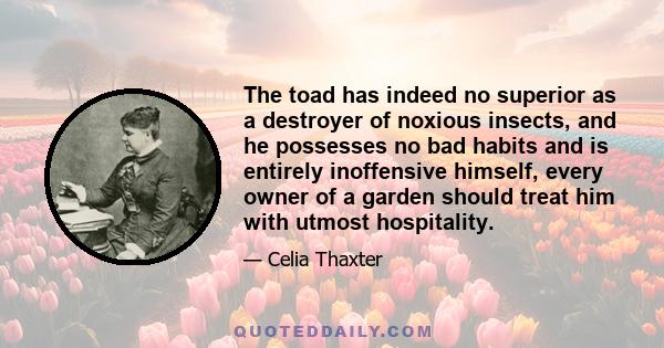 The toad has indeed no superior as a destroyer of noxious insects, and he possesses no bad habits and is entirely inoffensive himself, every owner of a garden should treat him with utmost hospitality.