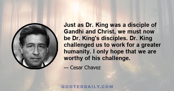 Just as Dr. King was a disciple of Gandhi and Christ, we must now be Dr. King's disciples. Dr. King challenged us to work for a greater humanity. I only hope that we are worthy of his challenge.