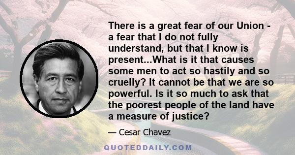 There is a great fear of our Union - a fear that I do not fully understand, but that I know is present...What is it that causes some men to act so hastily and so cruelly? It cannot be that we are so powerful. Is it so