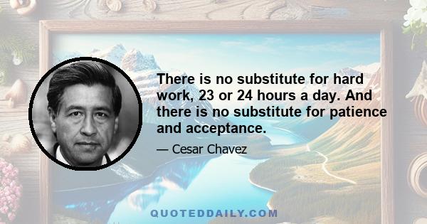 There is no substitute for hard work, 23 or 24 hours a day. And there is no substitute for patience and acceptance.