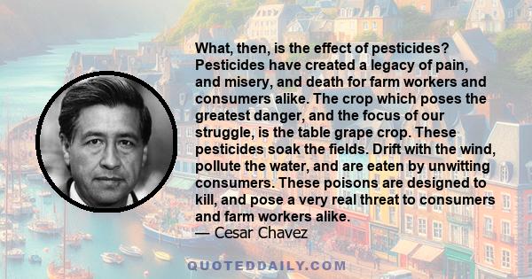 What, then, is the effect of pesticides? Pesticides have created a legacy of pain, and misery, and death for farm workers and consumers alike. The crop which poses the greatest danger, and the focus of our struggle, is