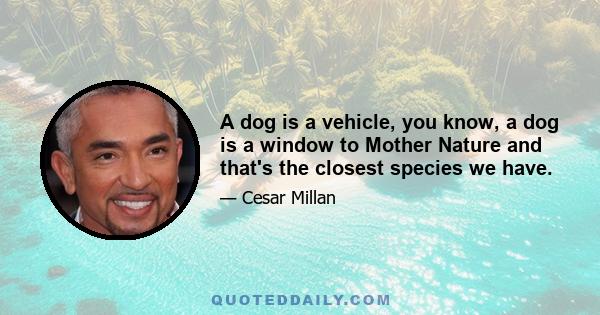 A dog is a vehicle, you know, a dog is a window to Mother Nature and that's the closest species we have.