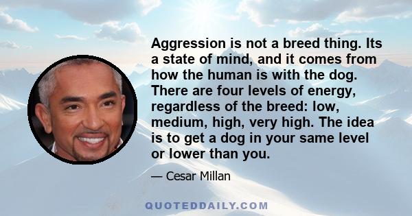 Aggression is not a breed thing. Its a state of mind, and it comes from how the human is with the dog. There are four levels of energy, regardless of the breed: low, medium, high, very high. The idea is to get a dog in