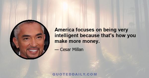 America focuses on being very intelligent because that's how you make more money.