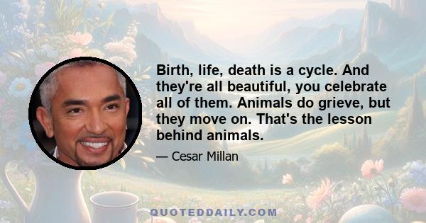 Birth, life, death is a cycle. And they're all beautiful, you celebrate all of them. Animals do grieve, but they move on. That's the lesson behind animals.