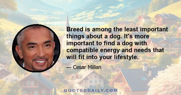 Breed is among the least important things about a dog. It's more important to find a dog with compatible energy and needs that will fit into your lifestyle.