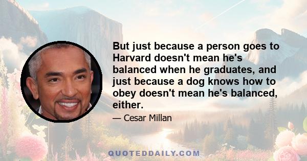 But just because a person goes to Harvard doesn't mean he's balanced when he graduates, and just because a dog knows how to obey doesn't mean he's balanced, either.