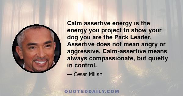 Calm assertive energy is the energy you project to show your dog you are the Pack Leader. Assertive does not mean angry or aggressive. Calm-assertive means always compassionate, but quietly in control.