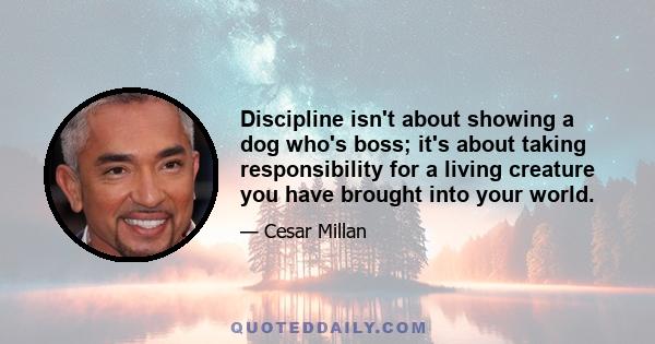 Discipline isn't about showing a dog who's boss; it's about taking responsibility for a living creature you have brought into your world.