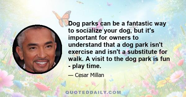 Dog parks can be a fantastic way to socialize your dog, but it's important for owners to understand that a dog park isn't exercise and isn't a substitute for walk. A visit to the dog park is fun - play time.