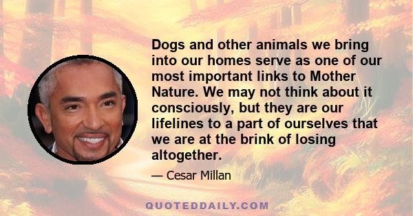 Dogs and other animals we bring into our homes serve as one of our most important links to Mother Nature. We may not think about it consciously, but they are our lifelines to a part of ourselves that we are at the brink 