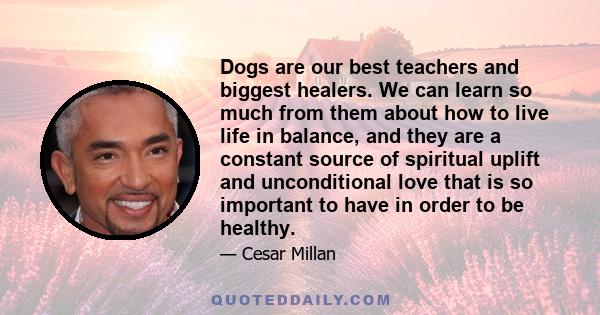 Dogs are our best teachers and biggest healers. We can learn so much from them about how to live life in balance, and they are a constant source of spiritual uplift and unconditional love that is so important to have in 