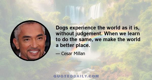 Dogs experience the world as it is, without judgement. When we learn to do the same, we make the world a better place.