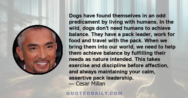 Dogs have found themselves in an odd predicament by living with humans. In the wild, dogs don't need humans to achieve balance. They have a pack leader, work for food and travel with the pack. When we bring them into