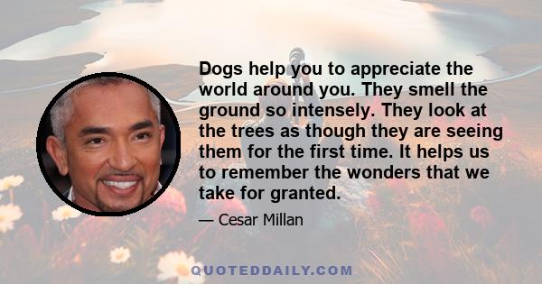 Dogs help you to appreciate the world around you. They smell the ground so intensely. They look at the trees as though they are seeing them for the first time. It helps us to remember the wonders that we take for