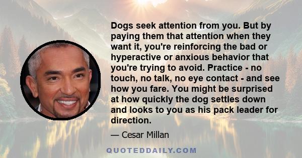 Dogs seek attention from you. But by paying them that attention when they want it, you're reinforcing the bad or hyperactive or anxious behavior that you're trying to avoid. Practice - no touch, no talk, no eye contact