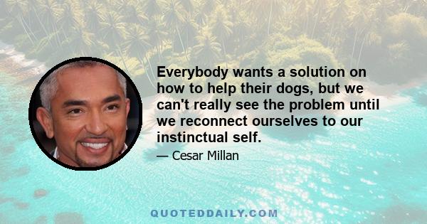 Everybody wants a solution on how to help their dogs, but we can't really see the problem until we reconnect ourselves to our instinctual self.