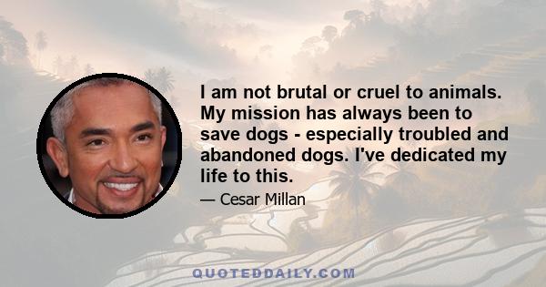 I am not brutal or cruel to animals. My mission has always been to save dogs - especially troubled and abandoned dogs. I've dedicated my life to this.