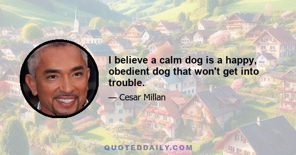 I believe a calm dog is a happy, obedient dog that won't get into trouble.