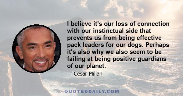 I believe it's our loss of connection with our instinctual side that prevents us from being effective pack leaders for our dogs. Perhaps it's also why we also seem to be failing at being positive guardians of our planet.