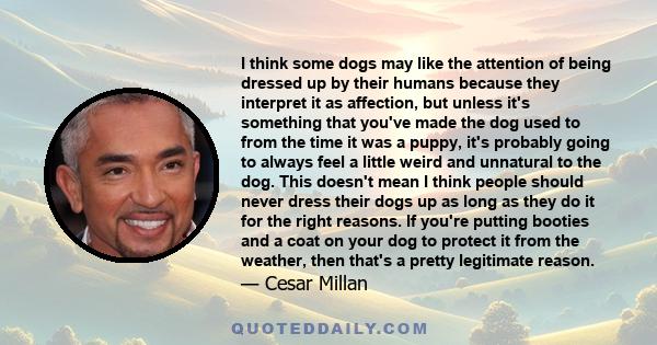 I think some dogs may like the attention of being dressed up by their humans because they interpret it as affection, but unless it's something that you've made the dog used to from the time it was a puppy, it's probably 