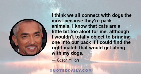 I think we all connect with dogs the most because they're pack animals. I know that cats are a little bit too aloof for me, although I wouldn't totally object to bringing one into our pack if I could find the right