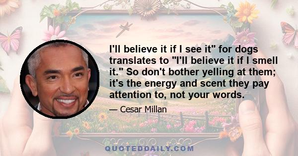 I'll believe it if I see it for dogs translates to I'll believe it if I smell it. So don't bother yelling at them; it's the energy and scent they pay attention to, not your words.