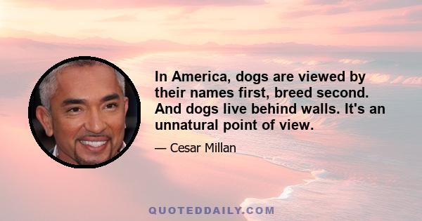 In America, dogs are viewed by their names first, breed second. And dogs live behind walls. It's an unnatural point of view.