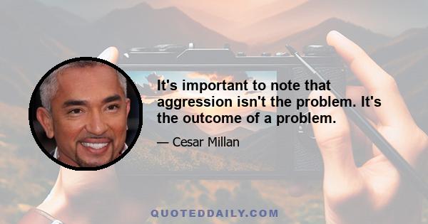 It's important to note that aggression isn't the problem. It's the outcome of a problem.