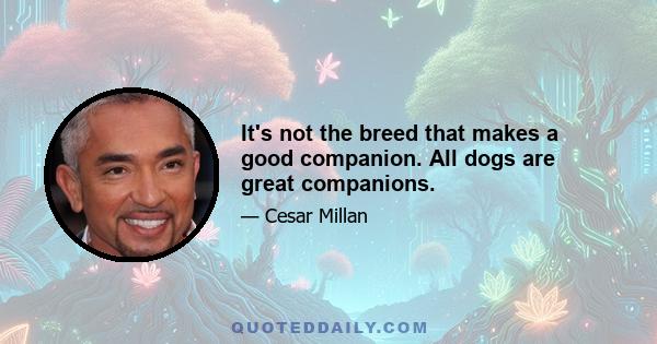 It's not the breed that makes a good companion. All dogs are great companions.