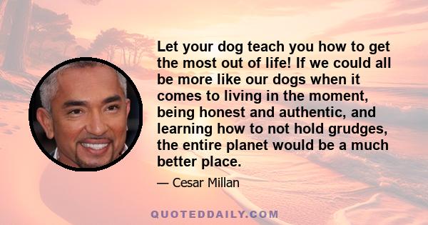 Let your dog teach you how to get the most out of life! If we could all be more like our dogs when it comes to living in the moment, being honest and authentic, and learning how to not hold grudges, the entire planet