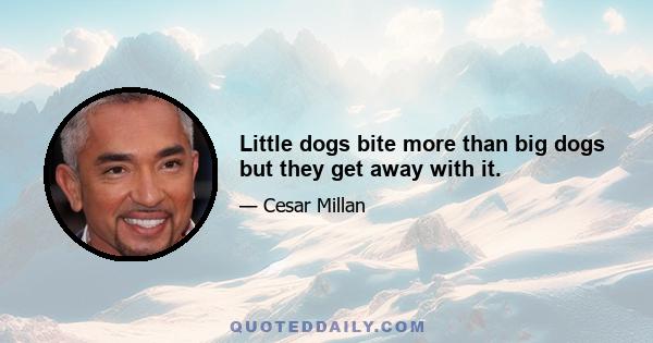 Little dogs bite more than big dogs but they get away with it.