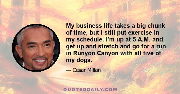 My business life takes a big chunk of time, but I still put exercise in my schedule. I'm up at 5 A.M. and get up and stretch and go for a run in Runyon Canyon with all five of my dogs.