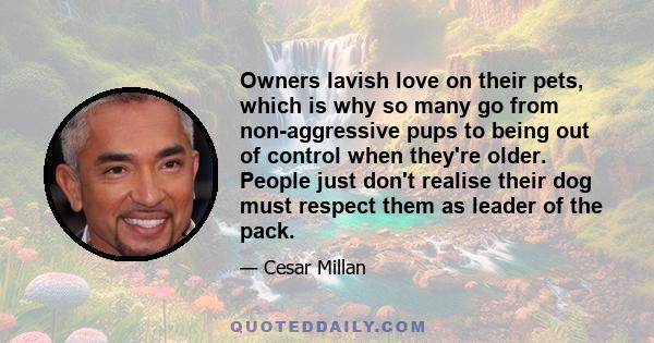 Owners lavish love on their pets, which is why so many go from non-aggressive pups to being out of control when they're older. People just don't realise their dog must respect them as leader of the pack.