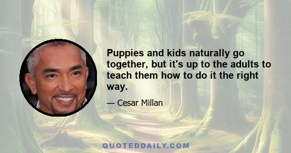 Puppies and kids naturally go together, but it's up to the adults to teach them how to do it the right way.