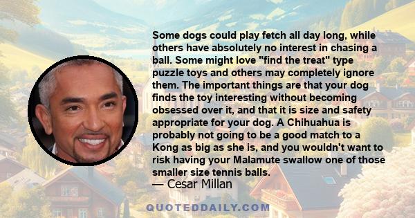 Some dogs could play fetch all day long, while others have absolutely no interest in chasing a ball. Some might love find the treat type puzzle toys and others may completely ignore them. The important things are that