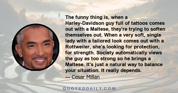 The funny thing is, when a Harley-Davidson guy full of tattoos comes out with a Maltese, they're trying to soften themselves out. When a very soft, single lady with a tailored look comes out with a Rottweiler, she’s