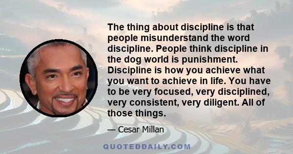 The thing about discipline is that people misunderstand the word discipline. People think discipline in the dog world is punishment. Discipline is how you achieve what you want to achieve in life. You have to be very