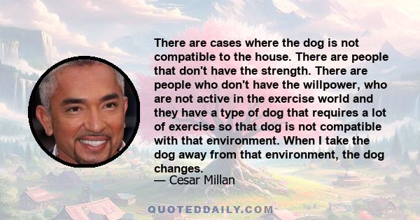 There are cases where the dog is not compatible to the house. There are people that don't have the strength. There are people who don't have the willpower, who are not active in the exercise world and they have a type