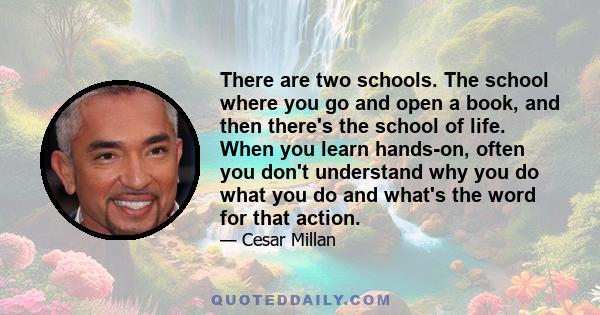 There are two schools. The school where you go and open a book, and then there's the school of life. When you learn hands-on, often you don't understand why you do what you do and what's the word for that action.