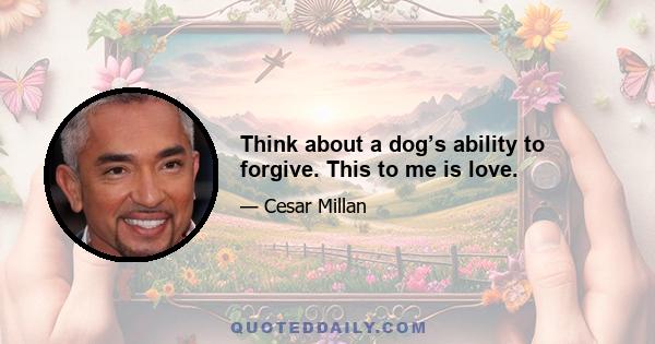 Think about a dog’s ability to forgive. This to me is love.