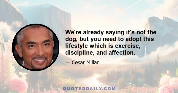 We're already saying it's not the dog, but you need to adopt this lifestyle which is exercise, discipline, and affection.