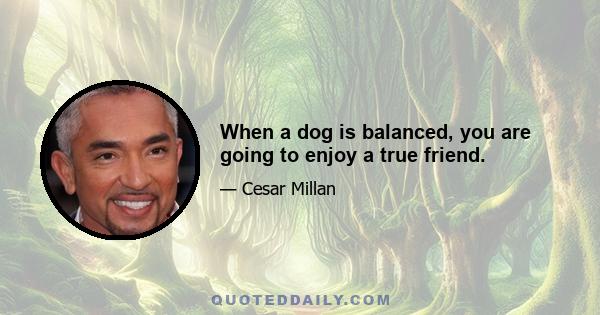 When a dog is balanced, you are going to enjoy a true friend.