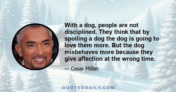 With a dog, people are not disciplined. They think that by spoiling a dog the dog is going to love them more. But the dog misbehaves more because they give affection at the wrong time.