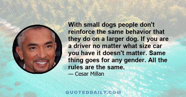 With small dogs people don't reinforce the same behavior that they do on a larger dog. If you are a driver no matter what size car you have it doesn't matter. Same thing goes for any gender. All the rules are the same.