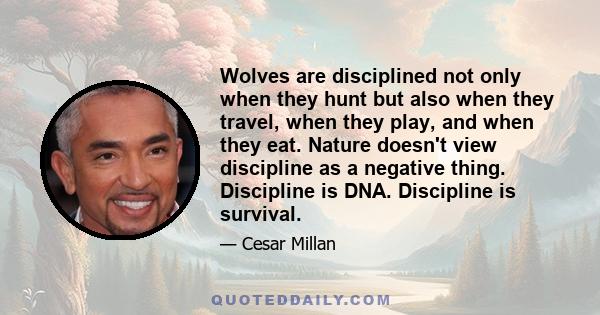 Wolves are disciplined not only when they hunt but also when they travel, when they play, and when they eat. Nature doesn't view discipline as a negative thing. Discipline is DNA. Discipline is survival.